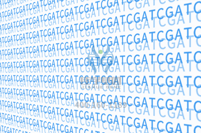 【佳学基因-基因检测】基因解码专家揭示：为什么有些人对免疫疗法的反应比其他人好？