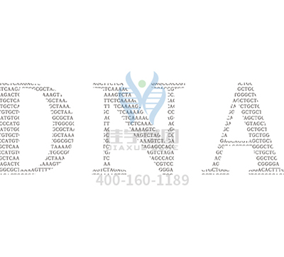 【佳学基因解码-基因检测】你有哪些习惯是由基因决定的？