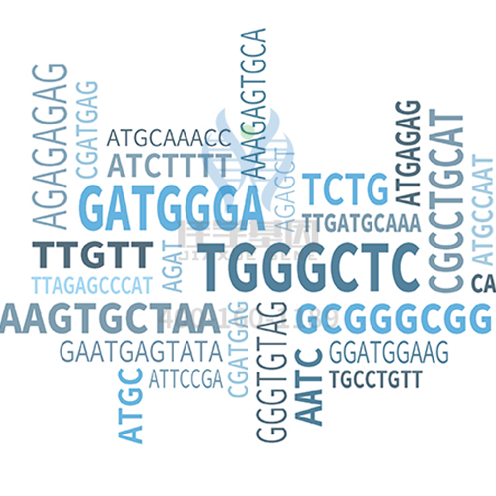 【佳学基因解码-基因检测】你有哪些习惯是由基因决定的？