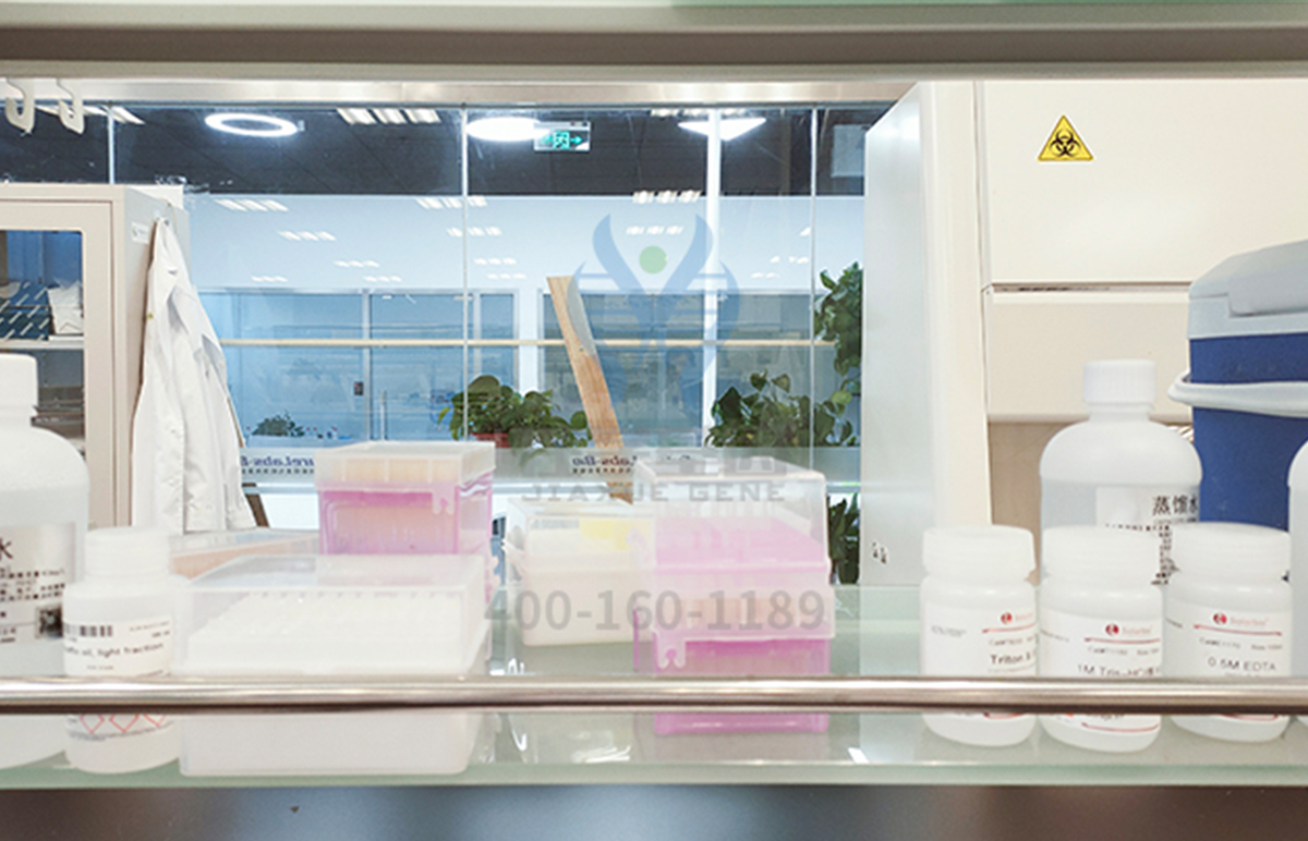 【佳学基因检测】甘肃省定西市胃癌免疫治疗基因检测机构