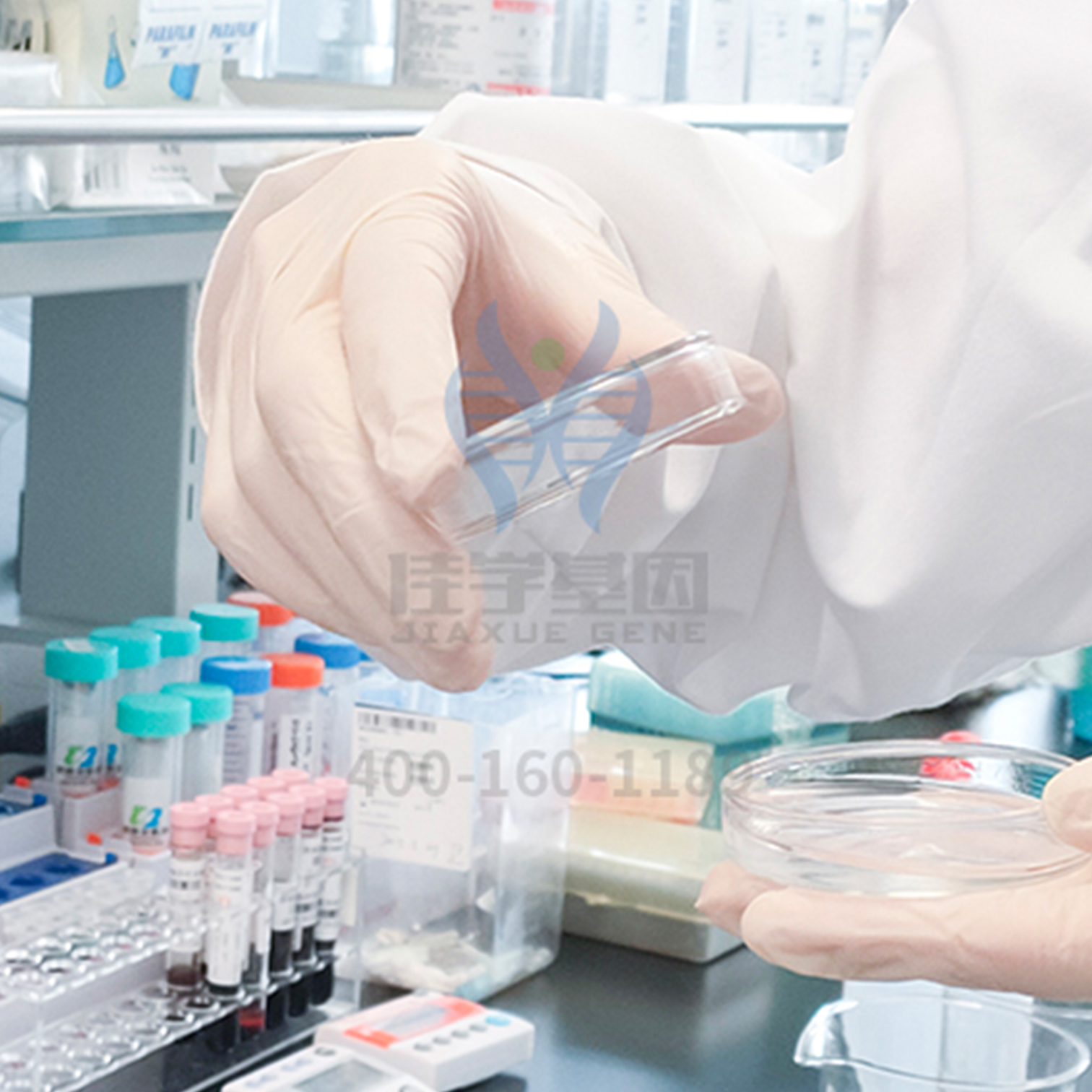 【佳学基因检测